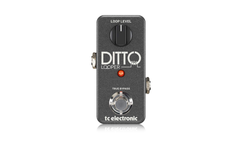 TC Electronic Ditto Looper Pedal | Amplifiers & Effects | Single Pedals